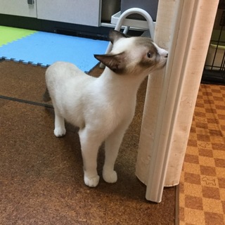 沢山のご応募 ありがとうございました