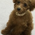 たくさんのご応募ありがとうございました！