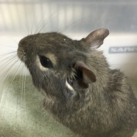 一ノ瀬さん