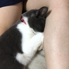 うずくまり〜〜(；´Д`Aスネ毛ヤバし