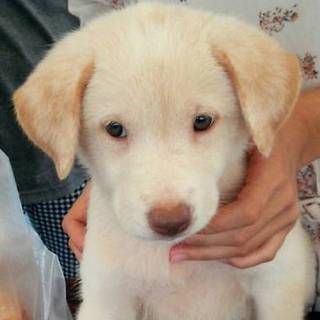 3か月ぐらいの可愛い女の子