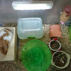 几帳面とどうでもいい派