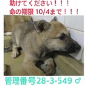 家族ができました！