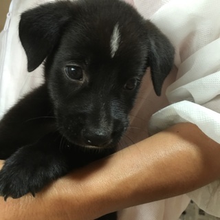 ありがとうございます。おでこがNo.1たら君
