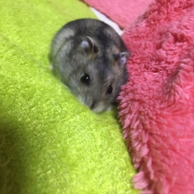 なびえのカバー写真