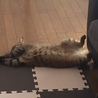 ミルタマ さん