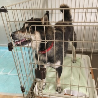 助けてください