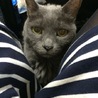 8みーたん