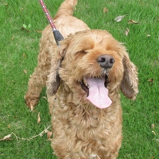 MIXジョン君。トライアル中のため一旦募集停止。