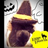ハロウィンボーちゃん
