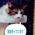 里親様決定しました。