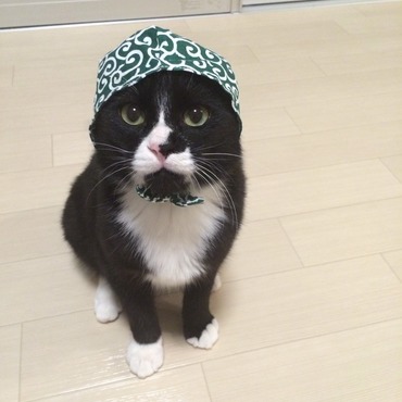 懐かしの唐草クック。当時生後半年。