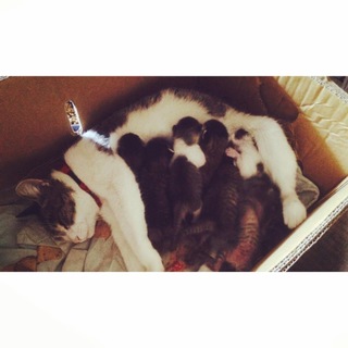 あとママだけです！