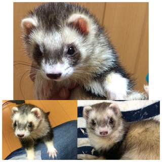 ご応募ありがとうございました。