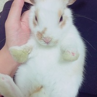 てぃぱ