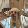 ケージから出してぇ~