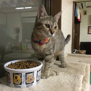 沢山のご応募 ありがとうございました