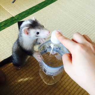 ありがとうございます！