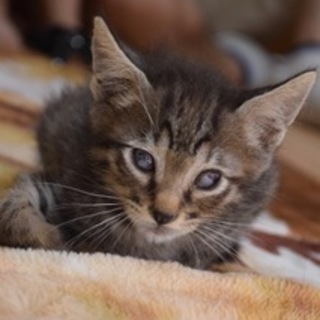 目は見えないけど元気だよ！イチくん☆