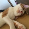 一応爆睡中なんだよ〜(￣▽￣)