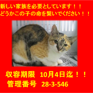 10/9　無事にお迎え頂きました(*´▽｀*)