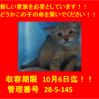 里親決定！！お迎えありがとうございました(^^♪