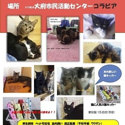 だってそれが猫、みんなちがってみんないい！