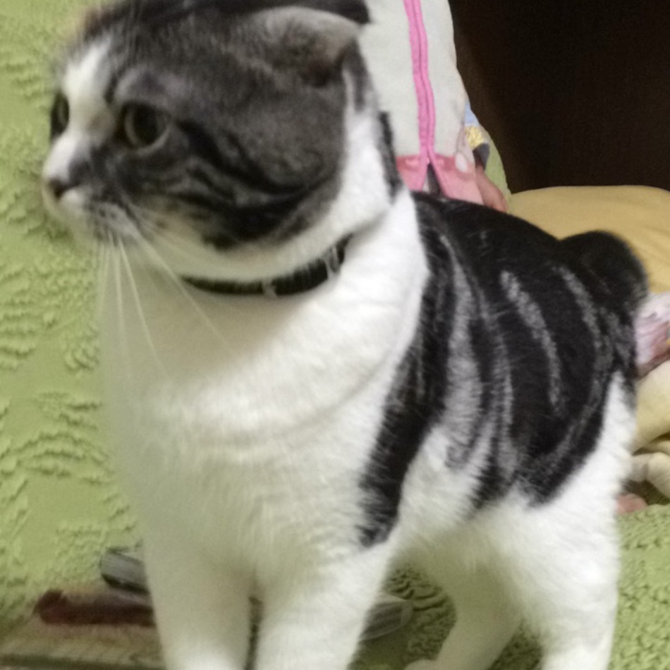 ジローのカバー写真