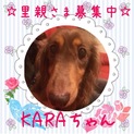 元気はつらつ‼️KARAちゃんです♪