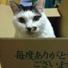 しのるり 