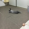 の写真