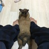の写真