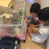 モルモットの優しい家族を探してます。 サムネイル5