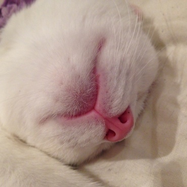 の写真