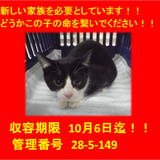 2匹でお迎え本当にありがとうございました(^^♪