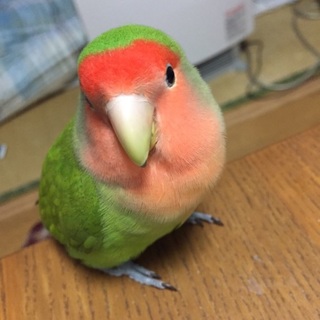 沢山の応募ありがとうございました。