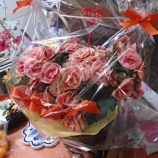 沢山の応募ありがとうございました。