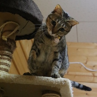 麦わらのとても可愛い女の子