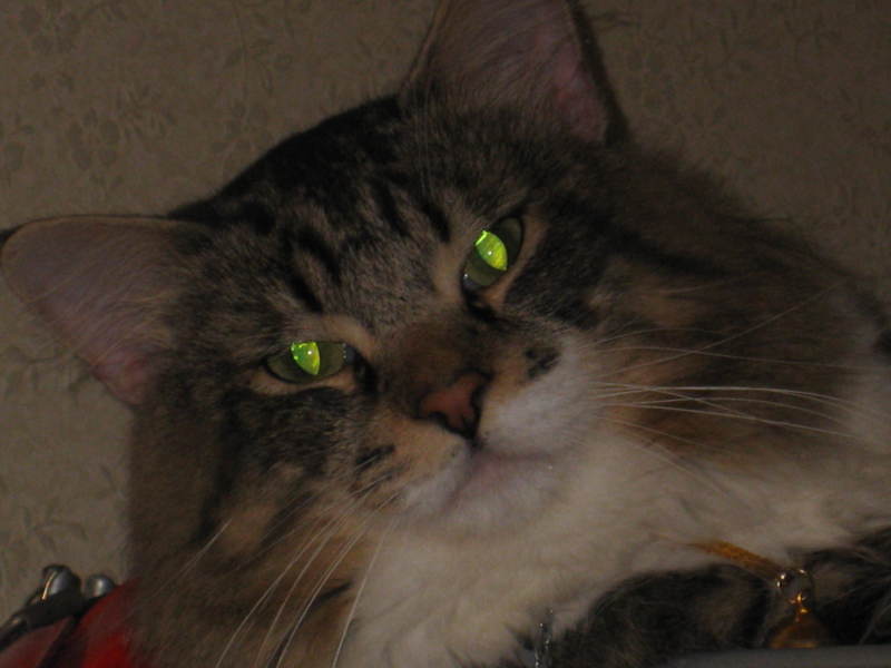 ジャック・スパロウ