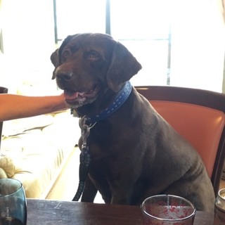 ラッキー7歳にラッキーを！