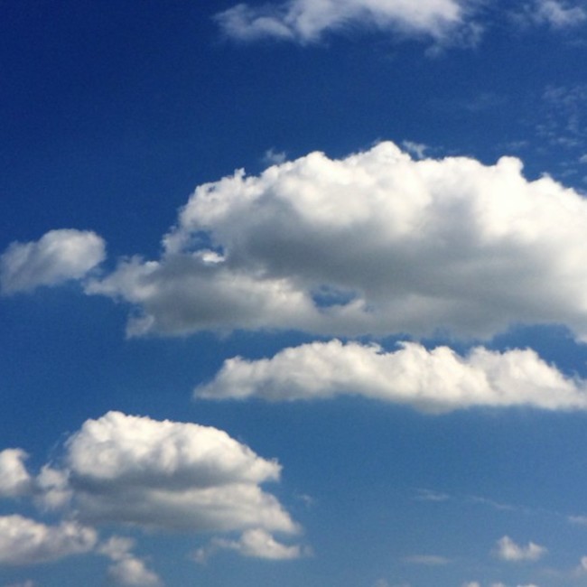 ここまめのカバー写真