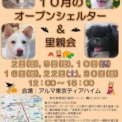 ティアハイムオープンシェルター里親会