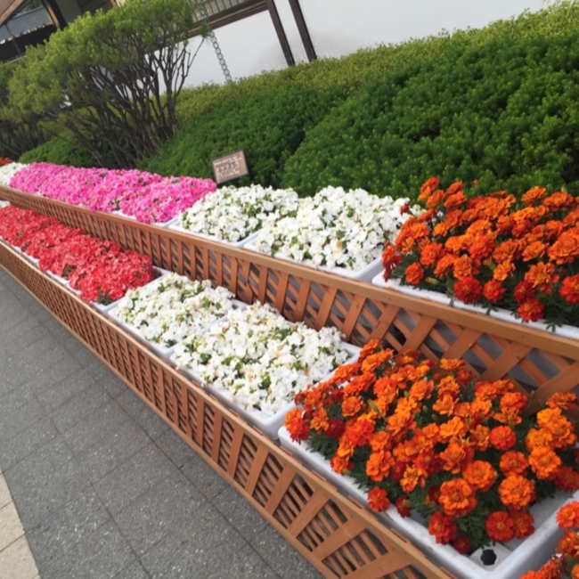 ha_chnのカバー写真