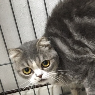 決定☆『リラ』自己中心的な憎めない子