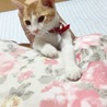 ちゃんゆー♡♡