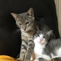 サバクロ男の子！甘えん坊です！