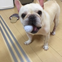 小梅