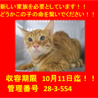 期限10月11日迄！命の期限があります！①