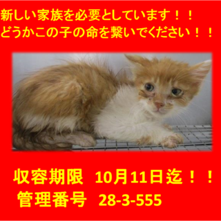 里親決定！！お迎えありがとうございました(^^♪