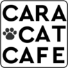 Cara Cat Cafe(保護活動者)